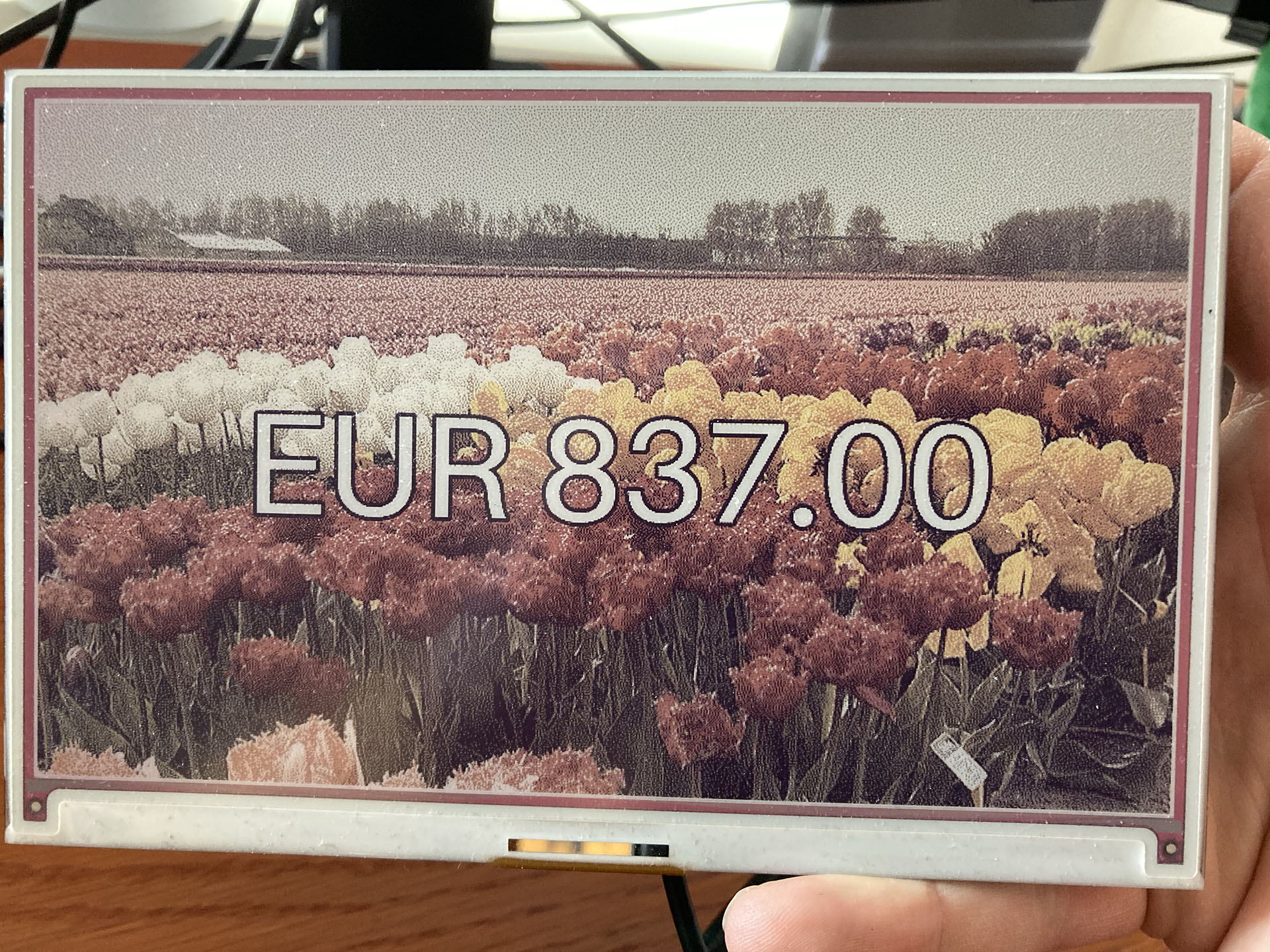 An e-ink display showing an amount of 837 euros with a field of tulips as background.